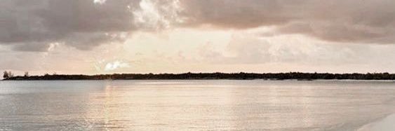 buteraustralia's profile banner image