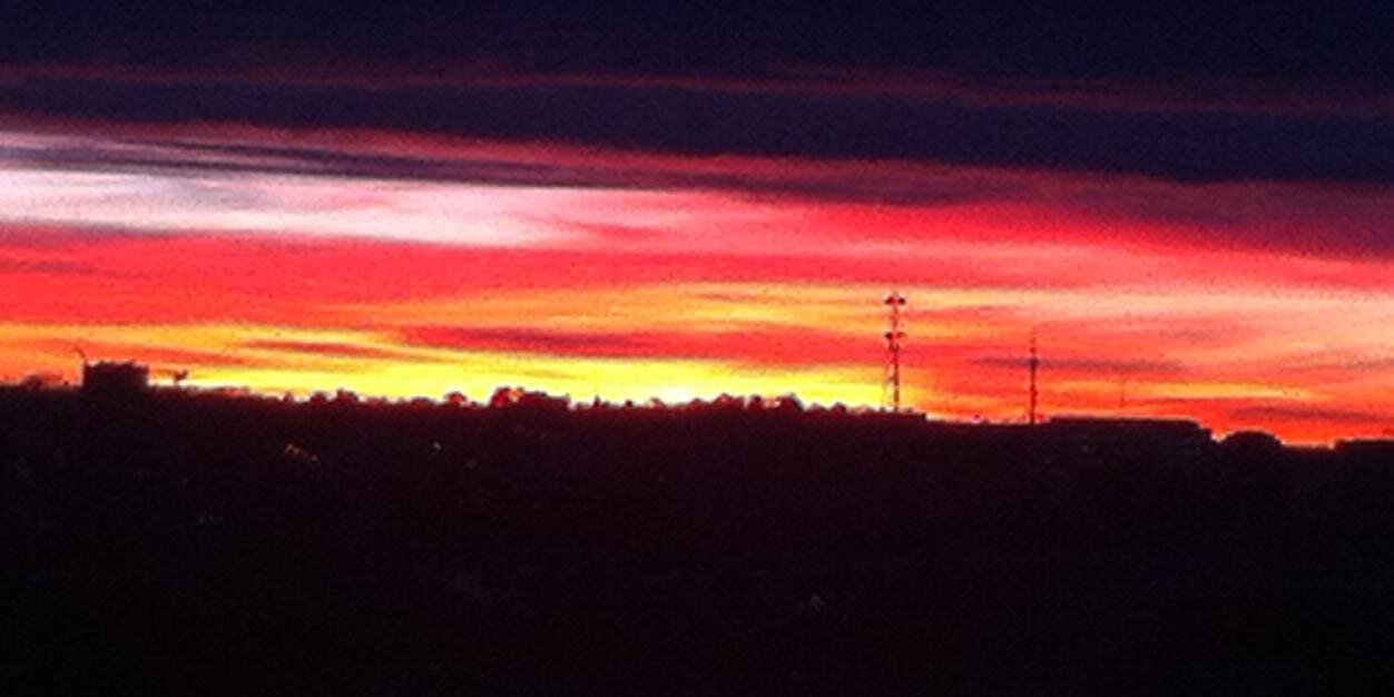 laurent LELLI banner