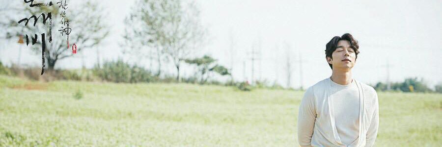 alistafidi's profile banner image
