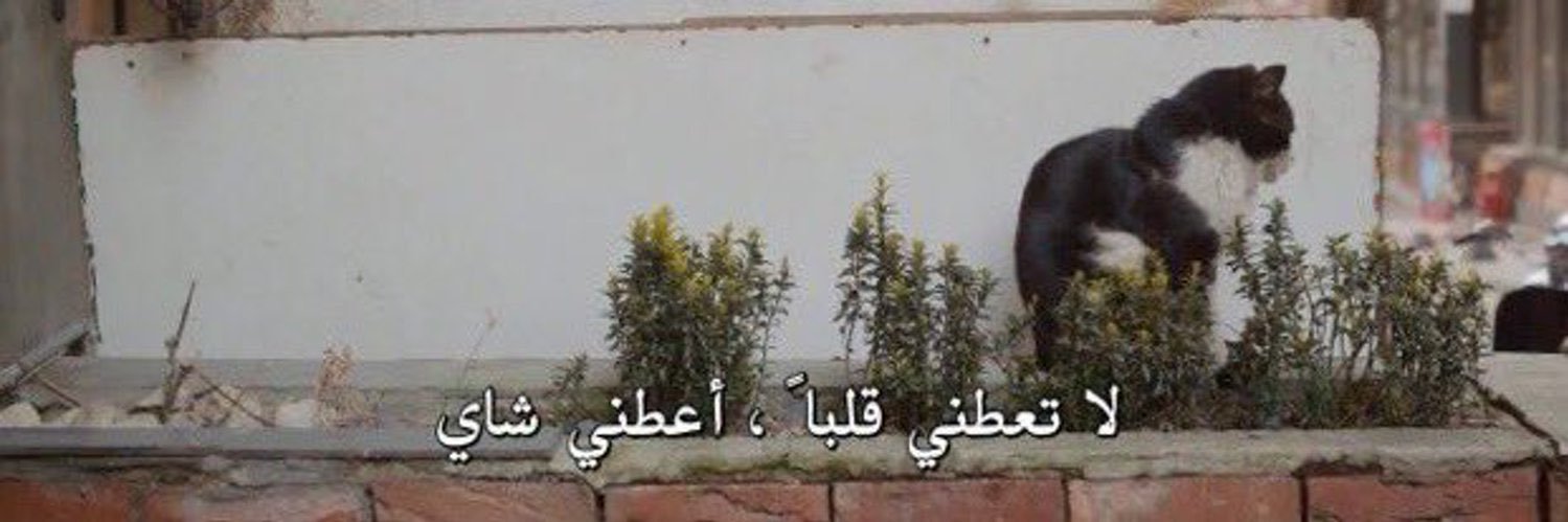 اليازيَة. banner