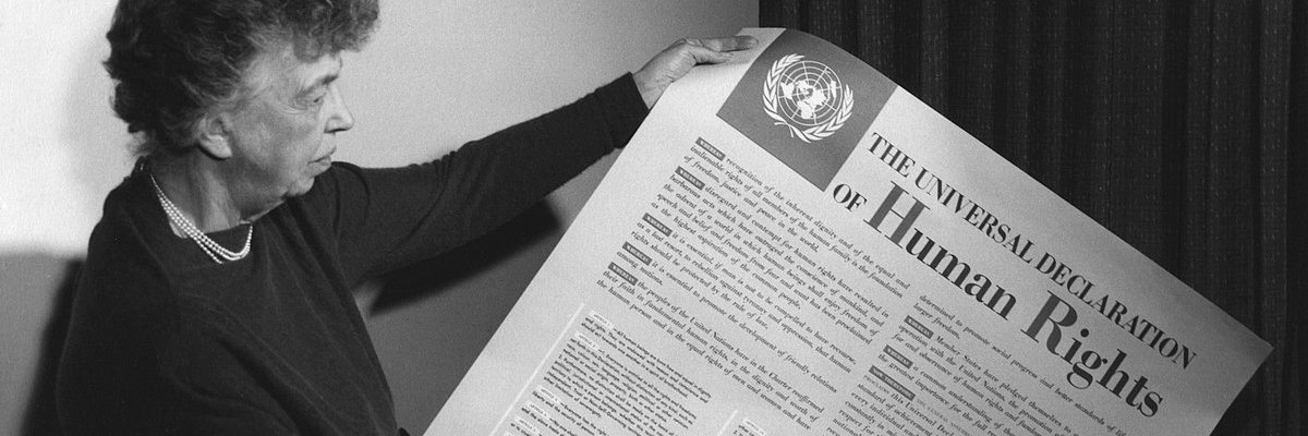 Plateforme Droits de l'Homme banner