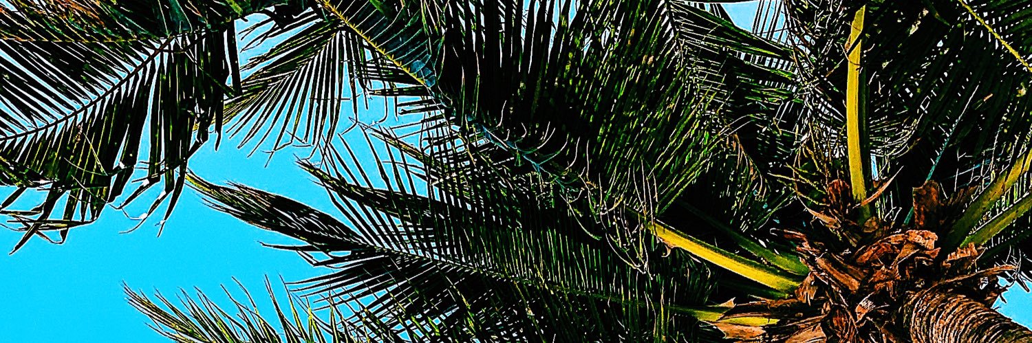Cholly_w's profile banner image