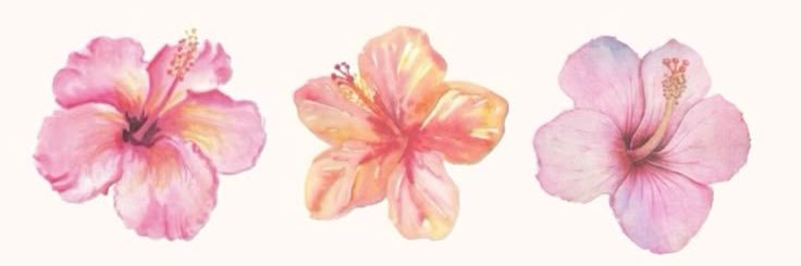 marstagibi's profile banner image