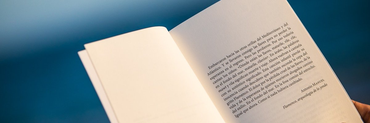 Sara Montesinos banner