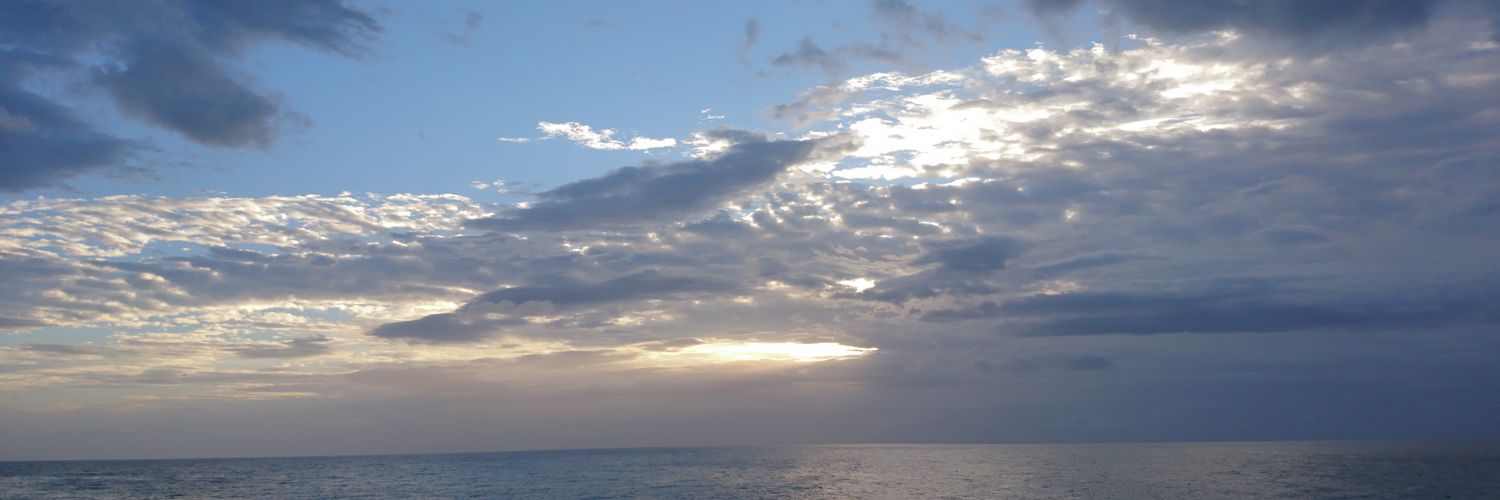 seizemu's profile banner image