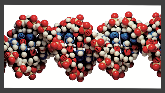 National Centre for Biotechnology Education banner