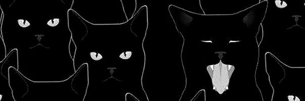 Lucía's banner