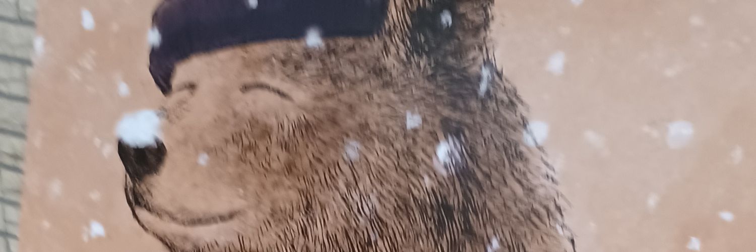 nao_1024's profile banner image