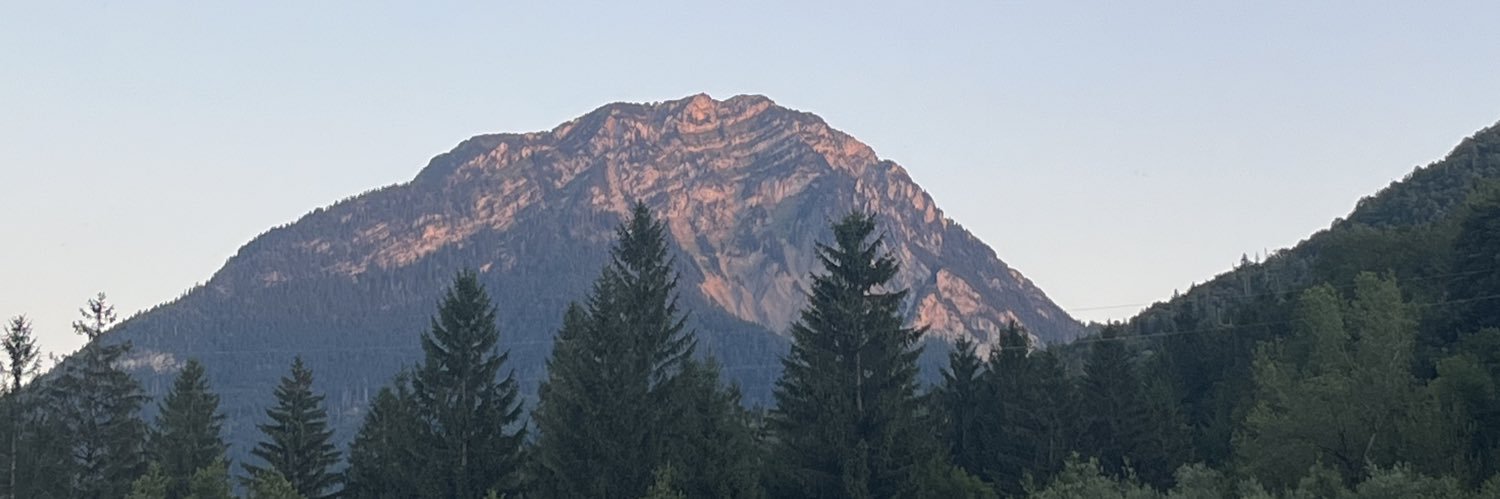 Caucheteux Louis banner