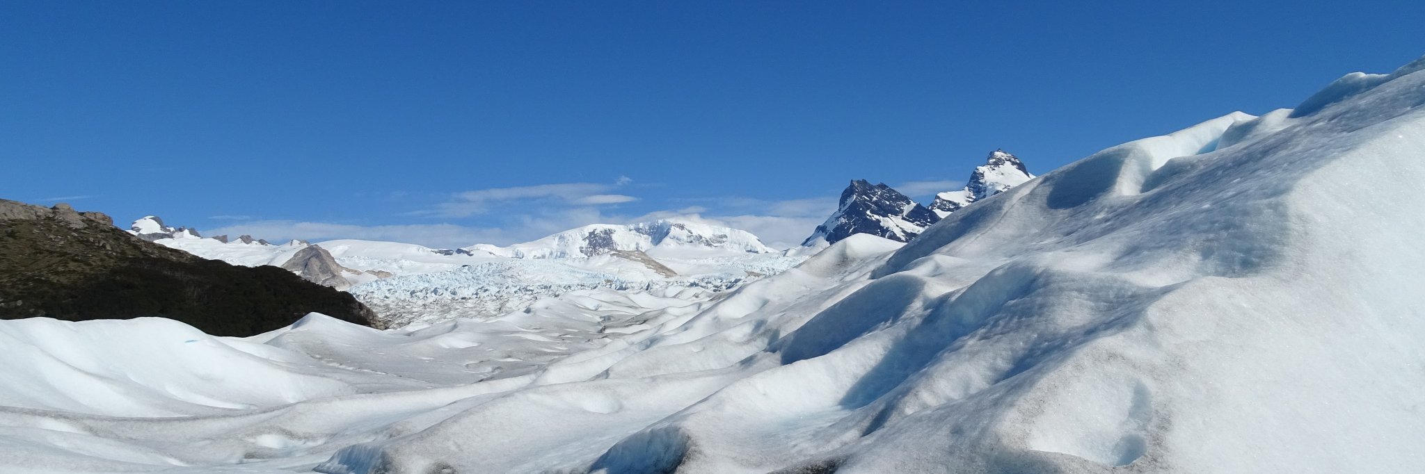 DISAT microbiology banner