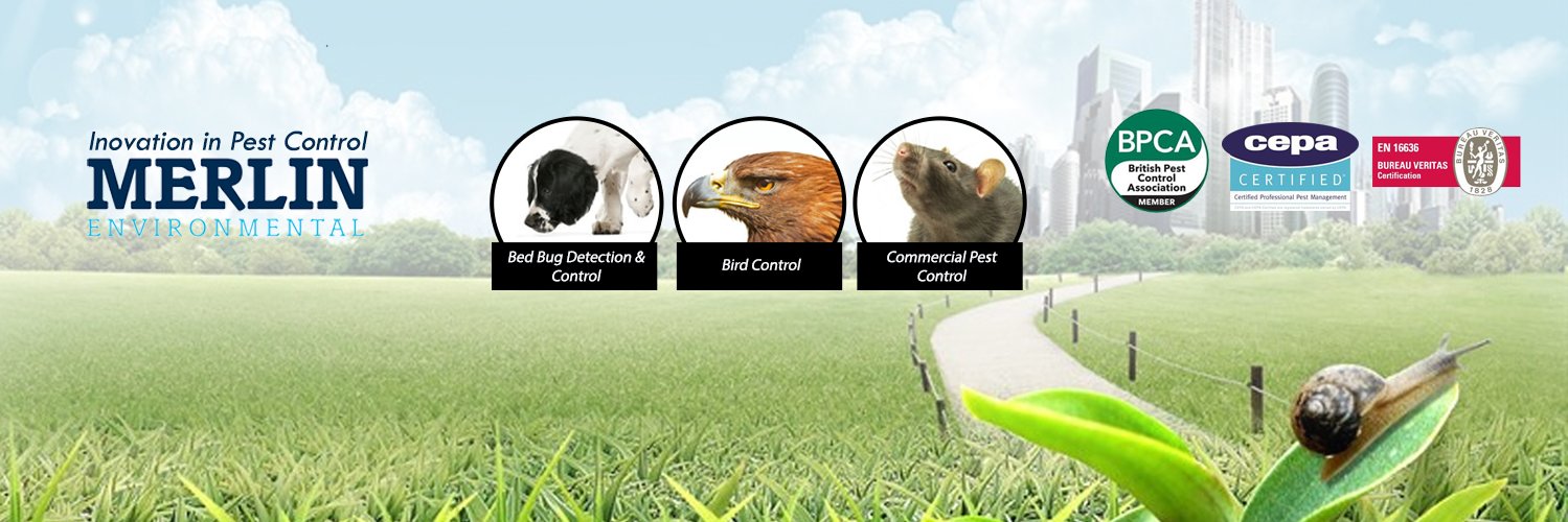 Merlin_Pest's profile banner image