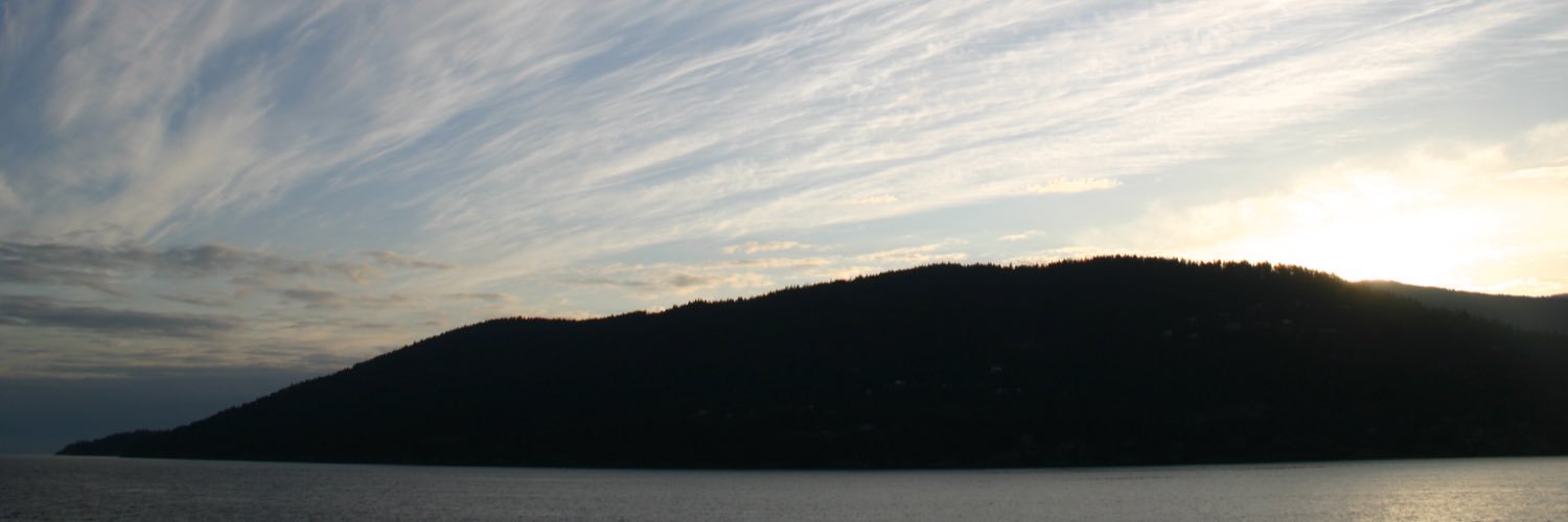 AmiraSleigh's profile banner image