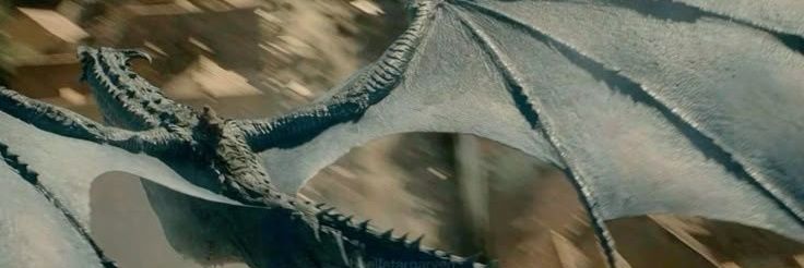 Embun Targ•Silverwing's rider 🐲|🍉 banner