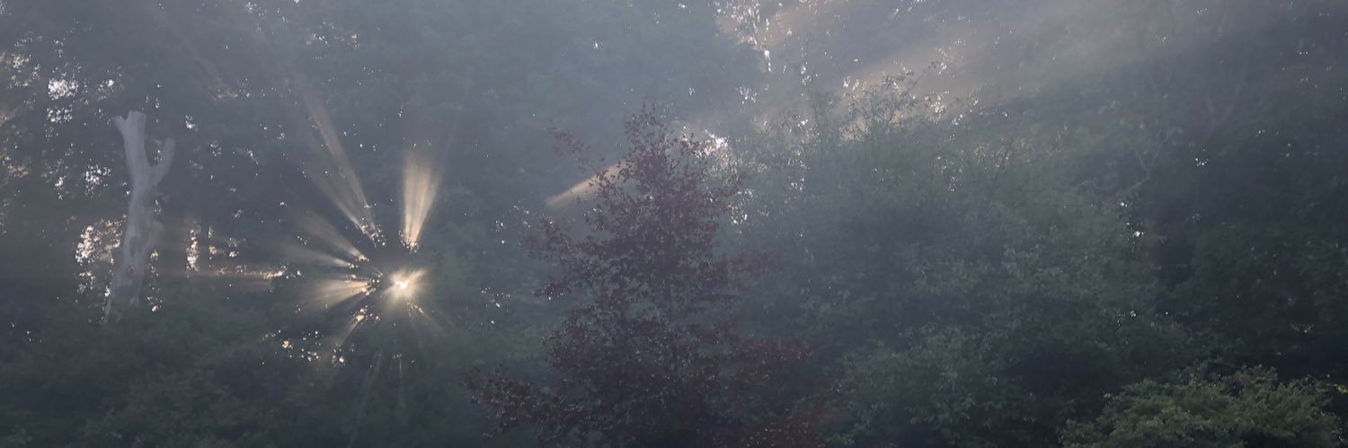 Ava banner