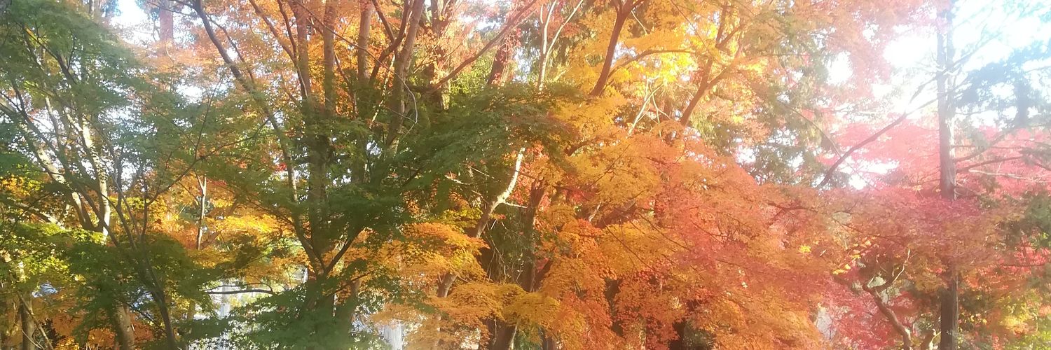 hakunetsuda's profile banner image