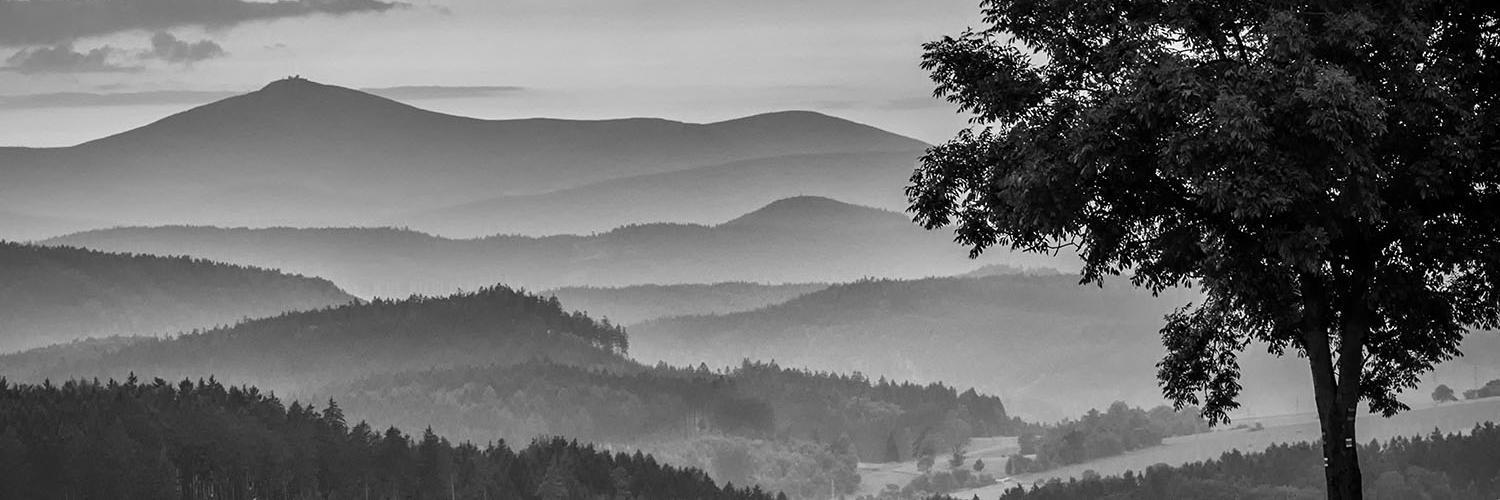 photolin's profile banner image