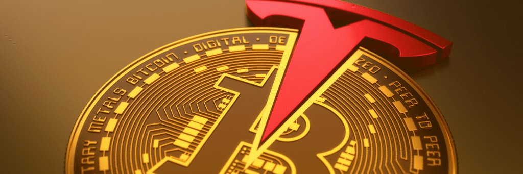 pupacila's profile banner image