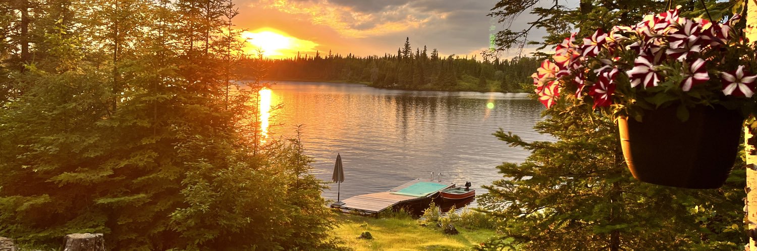 Dr. Renée El-Gabalawy banner