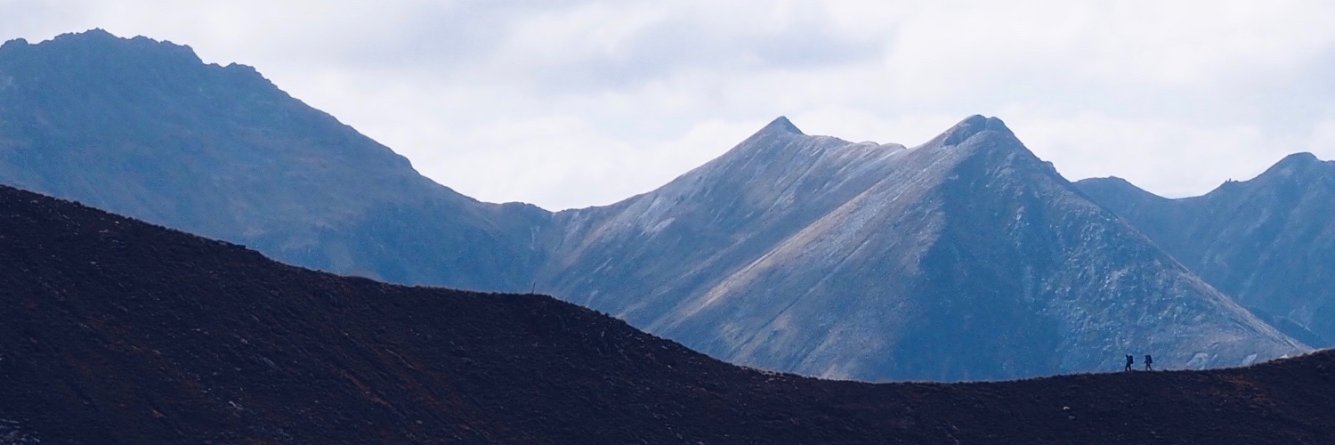 drbennash's profile banner image