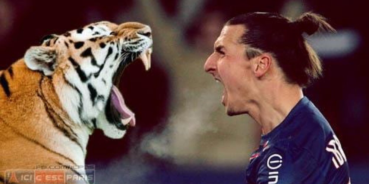 UhlinJohan's profile banner image