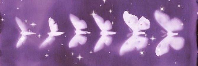 joce 𝜗𝜚˚⋆'s banner