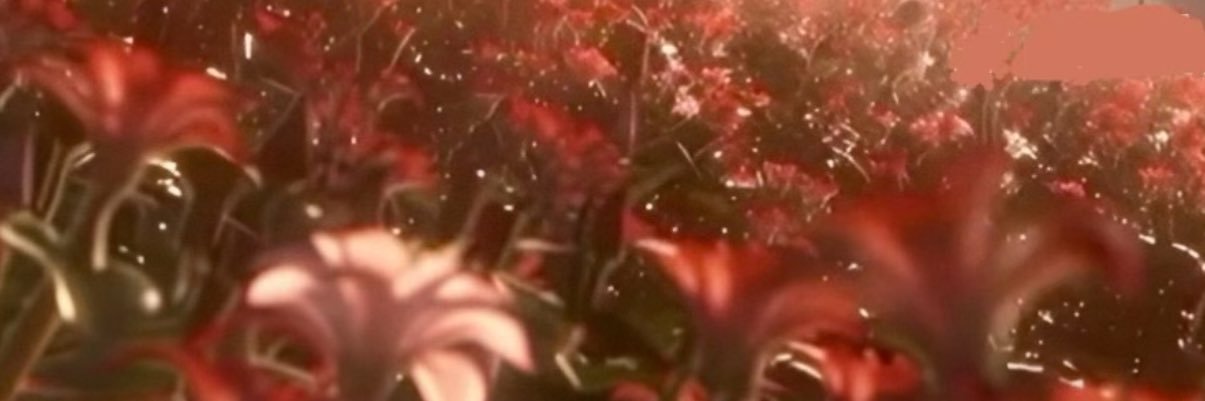 kawKawDat's profile banner image