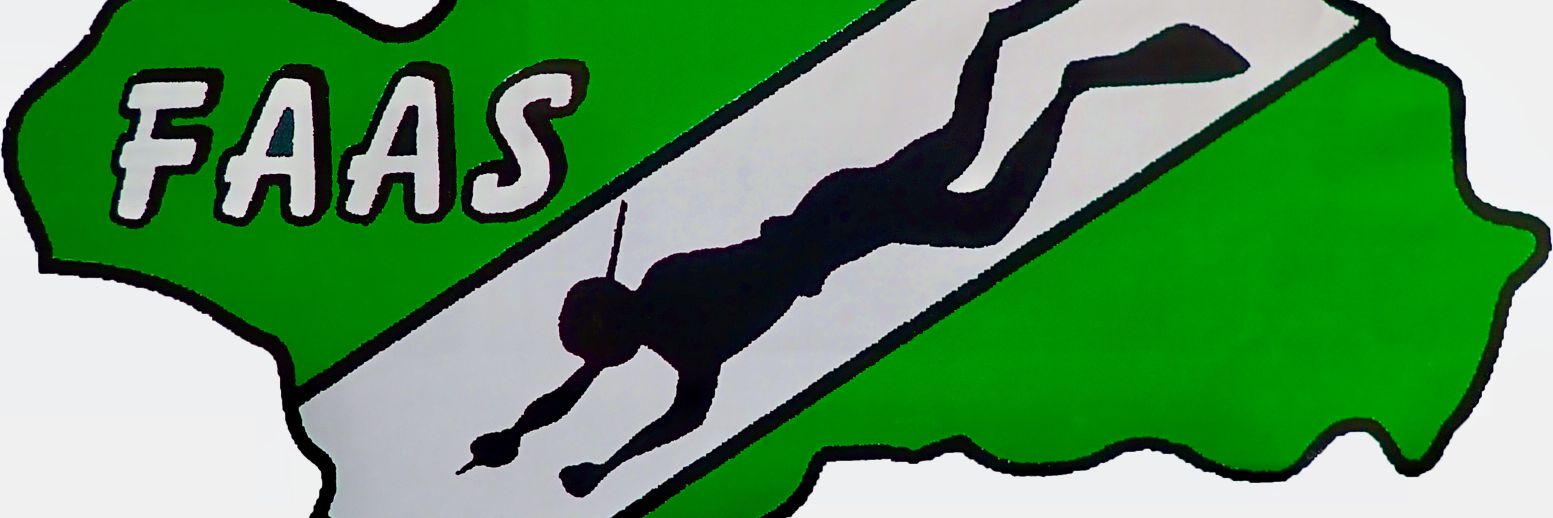 FEDAS ANDALUCÍA (FAAS) banner