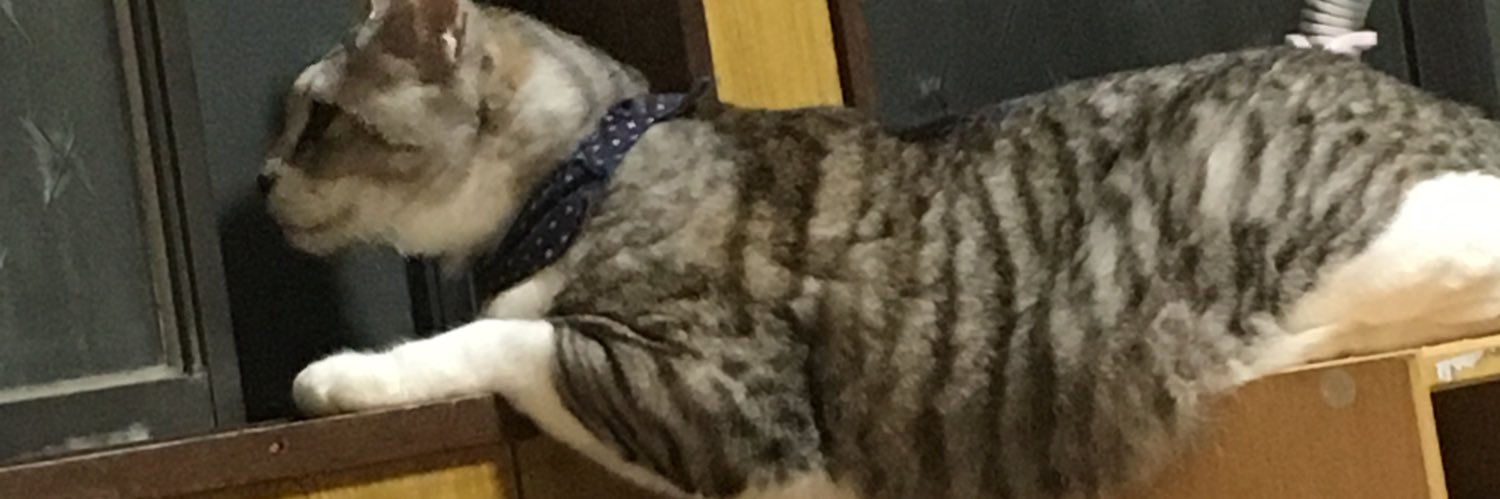 thidep0601's profile banner image