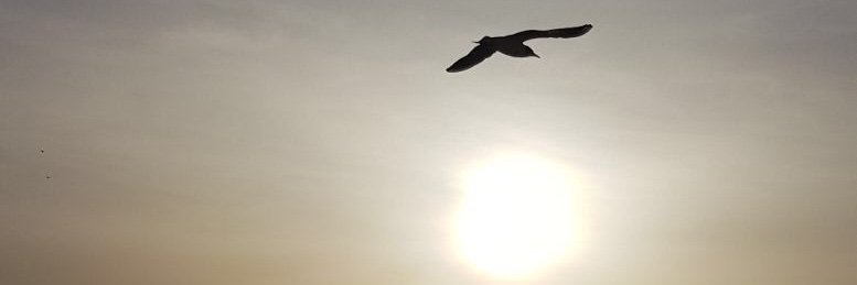 afableist's profile banner image
