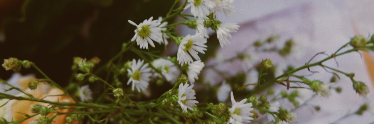 aliyasw's profile banner image