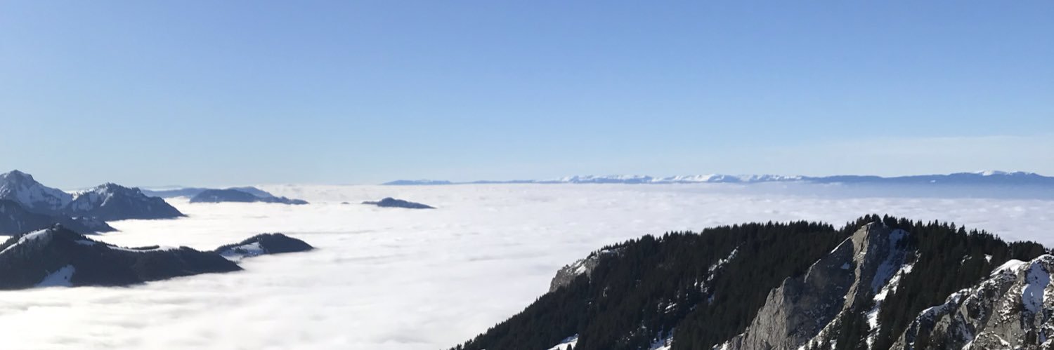 Harry Stedman banner