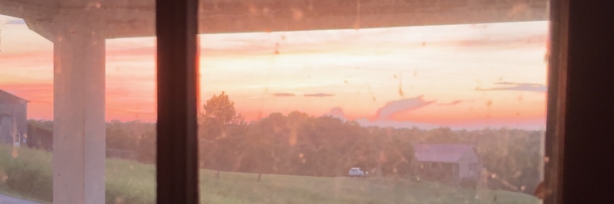 OliviaClem1's profile banner image