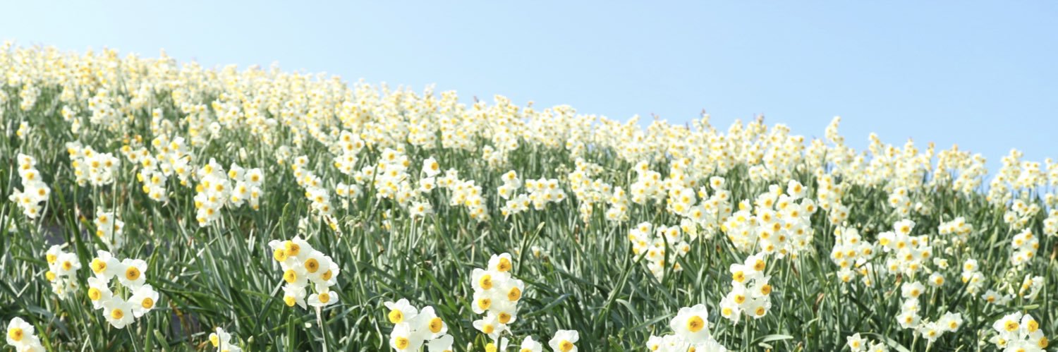fp84side's profile banner image