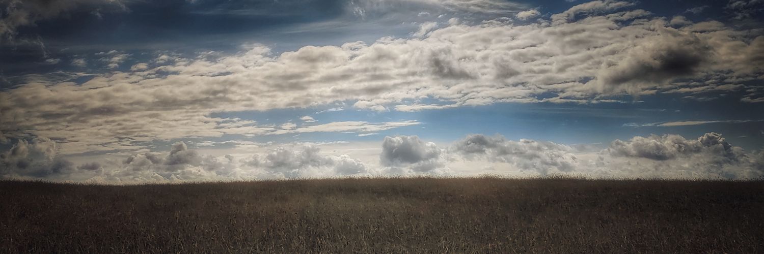 TRsicke's profile banner image