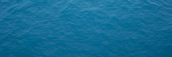 TestingLib Profile Banner
