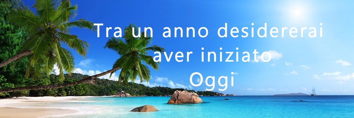 elvira_grimaldi's profile banner image