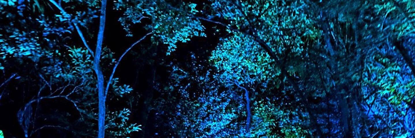 alielfateh's profile banner image