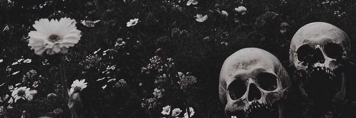 Vampiichan banner