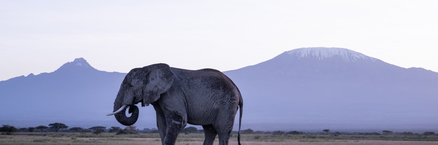 Let’s Discover Travel banner