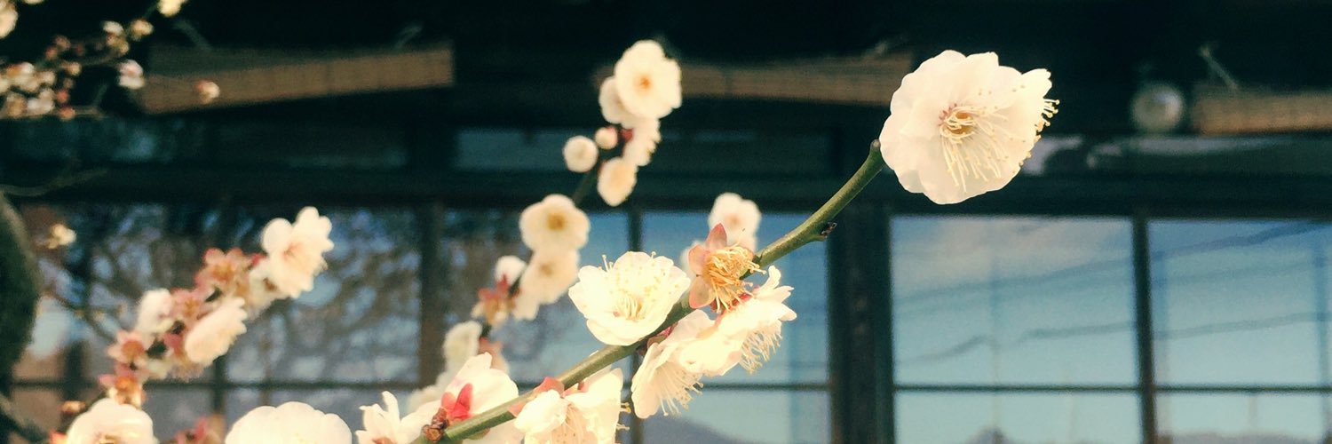 kento_bluebird's profile banner image