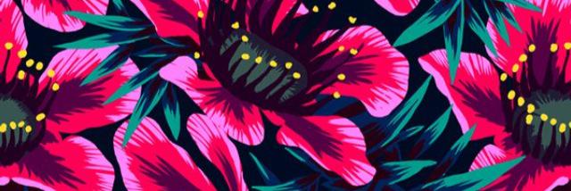 shutterchapl's profile banner image