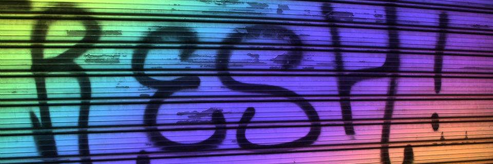 Reshma Prygiel banner