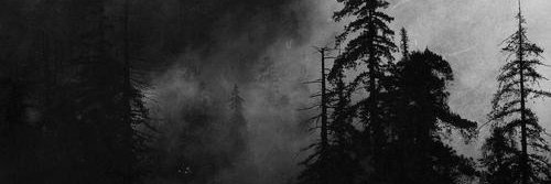 svltanism's profile banner image