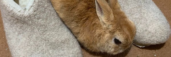 kima5656 Profile Banner