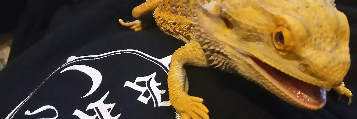 aki666v's profile banner image
