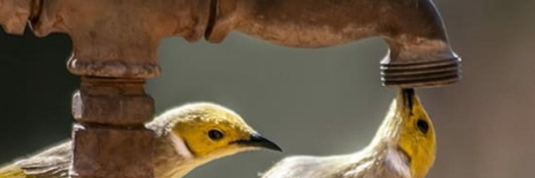 abhi_ims's profile banner image
