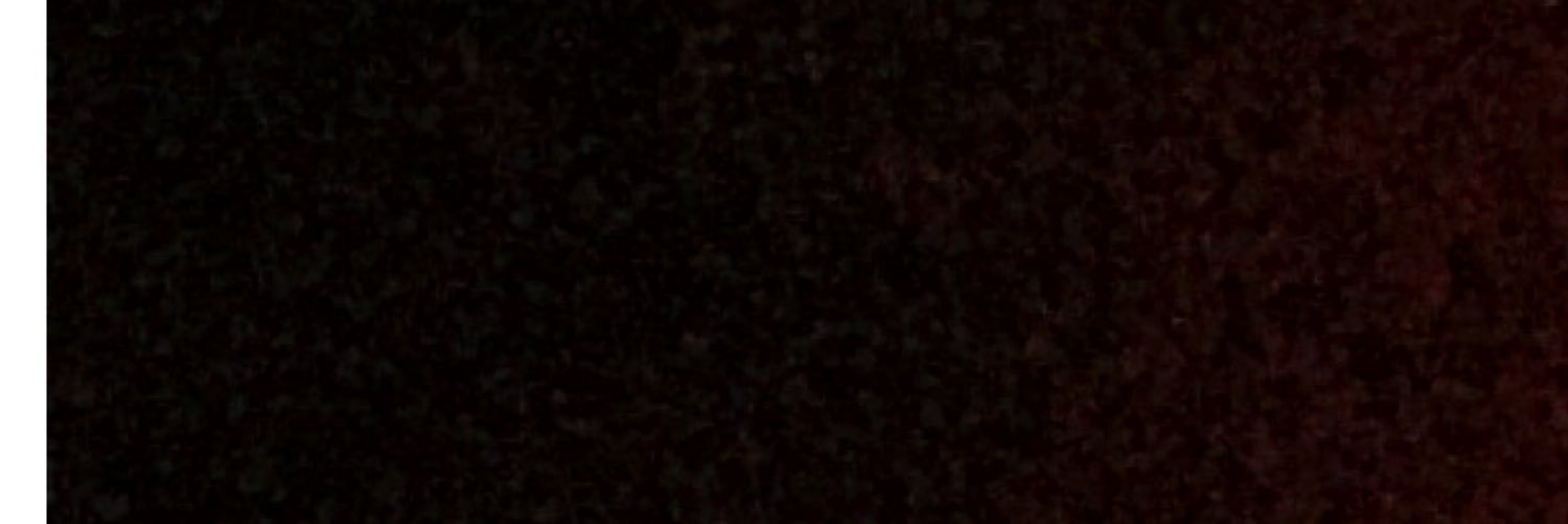k_anap's profile banner image