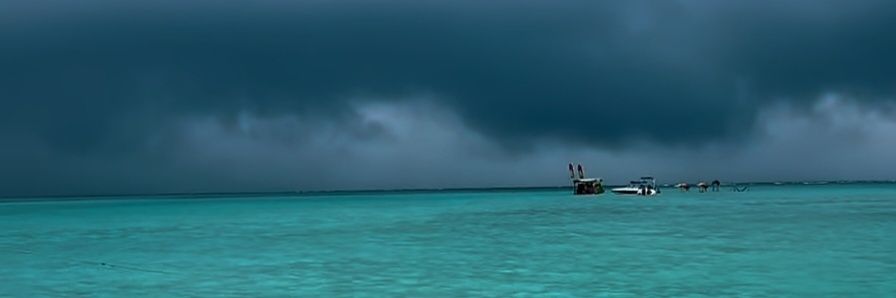 jornalistagera's profile banner image