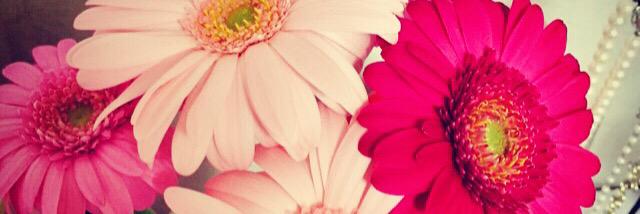 Mihooooo5's profile banner image