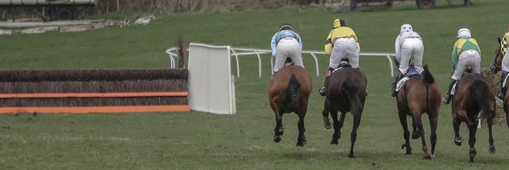 SandonRaces's profile banner image